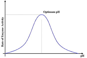 Graph showing a typical variation of enzyme activity with acidity