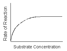 Graph representing the change in reaction rate as substrate concentration increases