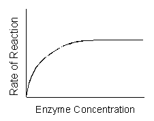 Graph representing the change in reaction rate as enzyme concentration increases